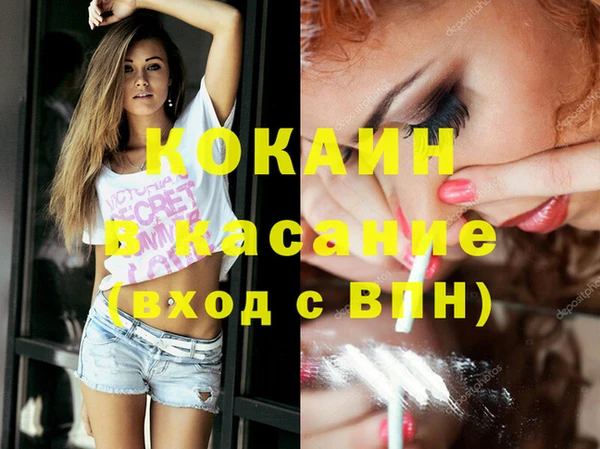 ешки Алексин