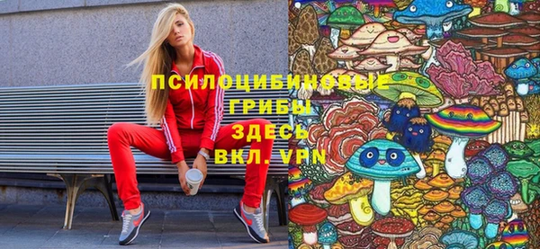 мяу мяу мука Алексеевка