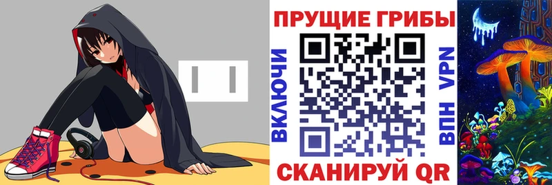 Купить  Буинск  Галлюциногенные грибы Psilocybe 